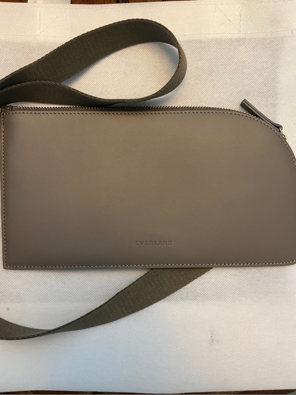 Everlane Smooth Leather The Cactus Sling Bag